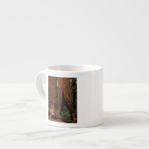Reuzenbomen, Sequoia National Park. Espresso Kop