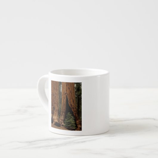Reuzenbomen, Sequoia National Park. Espresso Kop (Links)