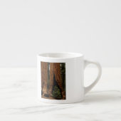 Reuzenbomen, Sequoia National Park. Espresso Kop (Rechts)
