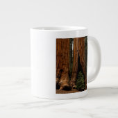 Reuzenbomen, Sequoia National Park. Grote Koffiekop (Voorkant rechts)