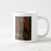 Reuzenbomen, Sequoia National Park. Grote Koffiekop (Rechts)