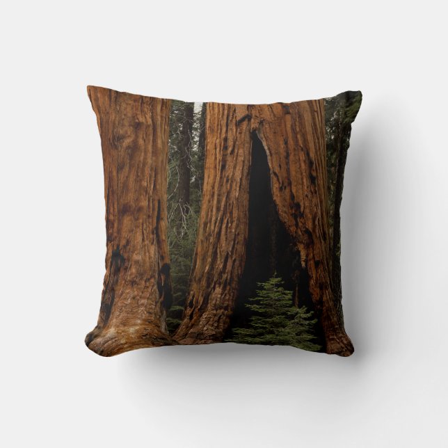Reuzenbomen, Sequoia National Park. Kussen (Voorkant)