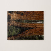 Reuzenbomen, Sequoia National Park. Legpuzzel (Horizontaal)