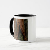 Reuzenbomen, Sequoia National Park. Mok (Voorkant links)