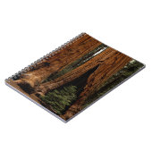 Reuzenbomen, Sequoia National Park. Notitieboek (Linkerzijde)