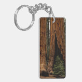 Reuzenbomen, Sequoia National Park. Sleutelhanger (Voorkant Links)