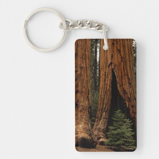 Reuzenbomen, Sequoia National Park. Sleutelhanger (Voorkant)