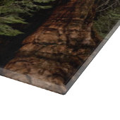 Reuzenbomen, Sequoia National Park. Snijplank (Hoek)