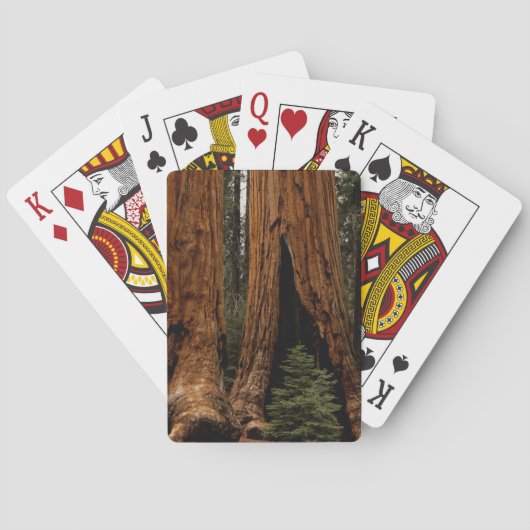 Reuzenbomen, Sequoia National Park. Speelkaarten (Achterkant)