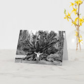 Reuzenbossen - Blank binnenin Wenskaart Kaart (Gele Bloem)