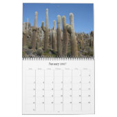 reuzencactus 2026 kalender (Jan 2027)