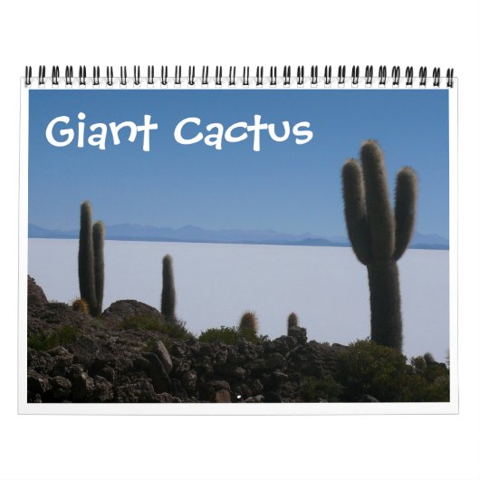 reuzencactus 2026 kalender (Hoes)