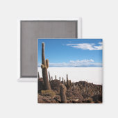 Reuzencactus bij de magneet van Salar de Uyuni (Voorkant / Achterkant)