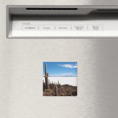 Reuzencactus bij de magneet van Salar de Uyuni (Insitu (Vaatwasser))