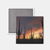reuzencactussen, Carnegiea gigantea, na Magneet (Voorkant / Achterkant)