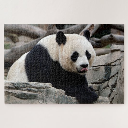 Reuzend Giant Panda, Jigzaag Puzzle Legpuzzel (Horizontaal)