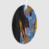 Reuzeneekhoorn Ornament (voorkant)