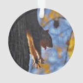 Reuzeneekhoorn Ornament (achterkant)