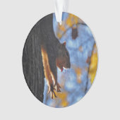 Reuzeneekhoorn Ornament (voorkant)