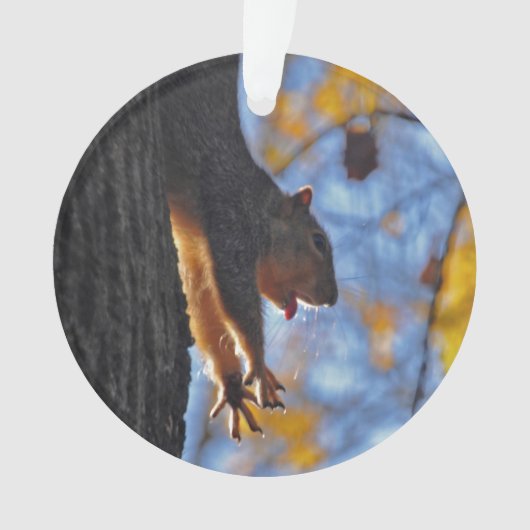 Reuzeneekhoorn Ornament (voorkant)