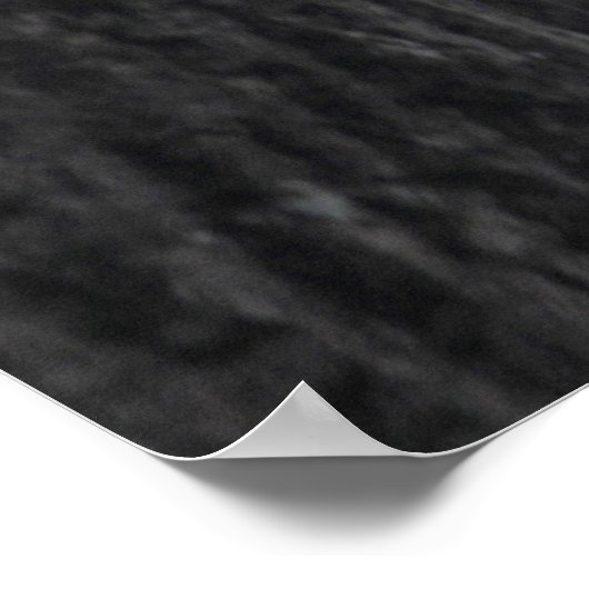 Reuzeneekhoorn Poster (Hoek)