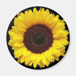 Reuzengele tuin zonnebloem op zwarte achtergrond magneet