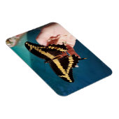 Reuzengele zwaluwstaartvlinder magneet (Rechterzijde)