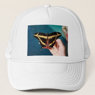 Reuzengele zwaluwstaartvlinder trucker pet