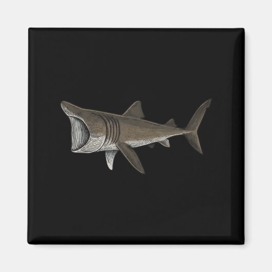 Reuzenhaai Magneet (Voorkant)