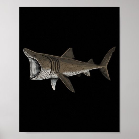 Reuzenhaai Poster (Voorkant)