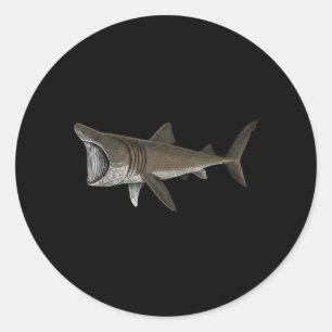 Reuzenhaai Ronde Sticker