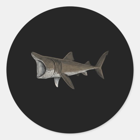 Reuzenhaai Ronde Sticker (Voorkant)
