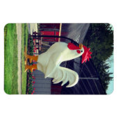 Reuzenhaan Magneet (Horizontaal)