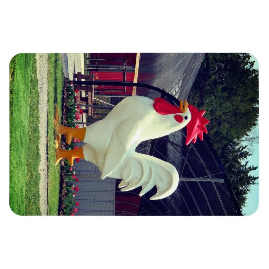 Reuzenhaan Magneet (Horizontaal)