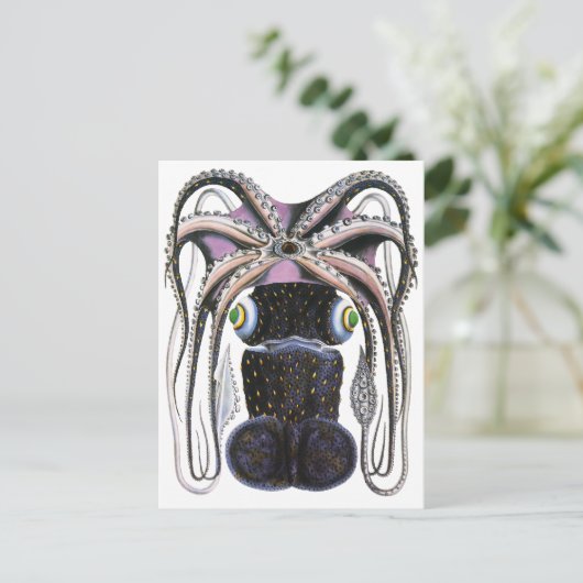  reuzeninktvis of inktvis, zeedier briefkaart (Staand voorkant)