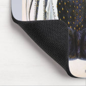 reuzeninktvis of inktvis, zeedier muismat (Hoek)