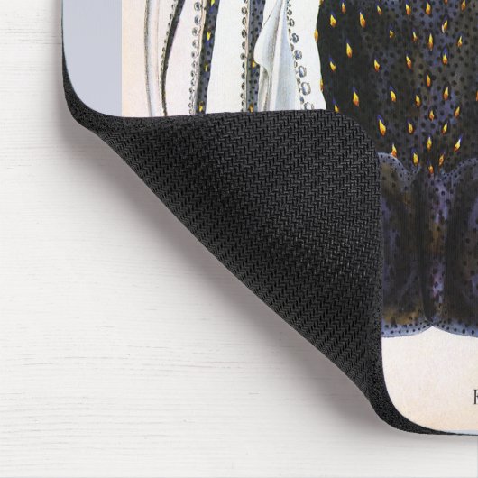  reuzeninktvis of inktvis, zeedier muismat (Hoek)