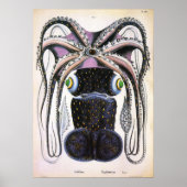 reuzeninktvis of inktvis, zeedier poster (Voorkant)