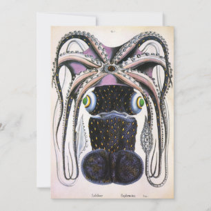 Reuzeninktvis of Octopus, Antieke Zeeleven Dier