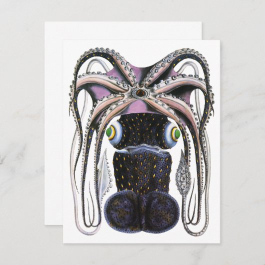  reuzeninktvis of octopus, zeedier (Voorkant / Achterkant)