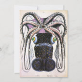  reuzeninktvis of octopus, zeedier (Voorkant)