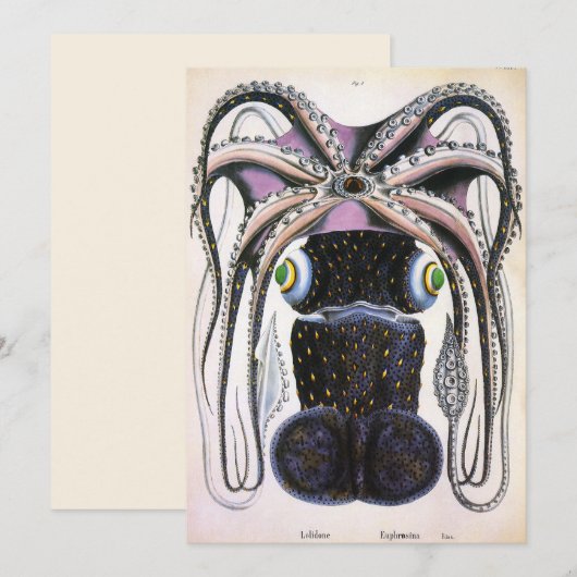  reuzeninktvis of octopus, zeedier (Voorkant / Achterkant)