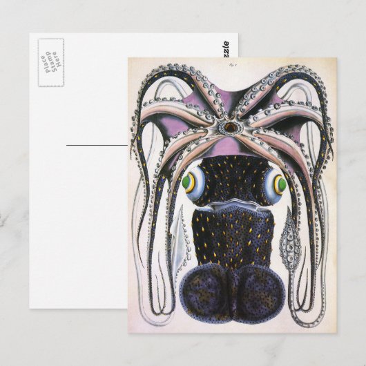  reuzeninktvis of octopus, zeedier briefkaart (Voorkant / Achterkant)