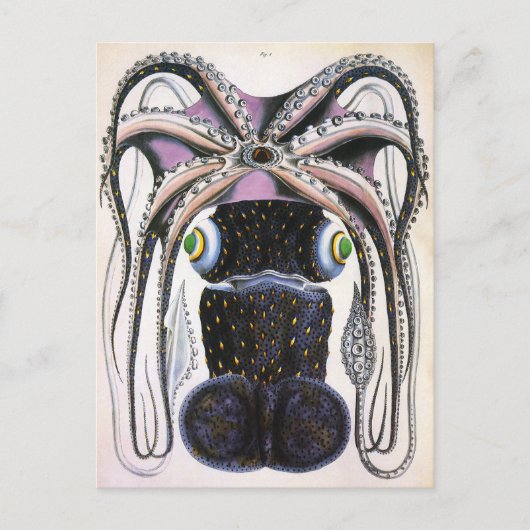  reuzeninktvis of octopus, zeedier briefkaart (Voorkant)