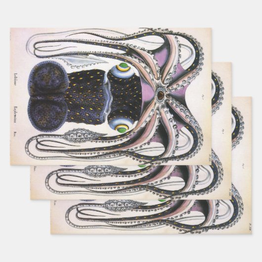 reuzeninktvis of octopus, zeedier inpakpapier vel (Set)