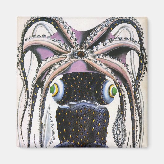  reuzeninktvis of octopus, zeedier magneet (Voorkant)