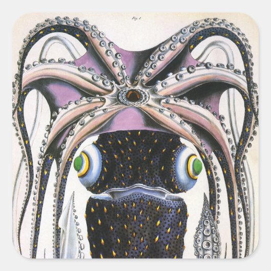  reuzeninktvis of octopus, zeedier vierkante sticker (Voorkant)
