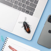 Reuzenkakkerlak Sticker (Laptop met iPhone)