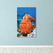 Reuzenkikvorsvis die zijn visaas toont (Antennari Canvas Afdruk (Insitu (Houten vloer))