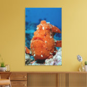 Reuzenkikvorsvis die zijn visaas toont (Antennari Canvas Afdruk (Insitu (Woonkamer))